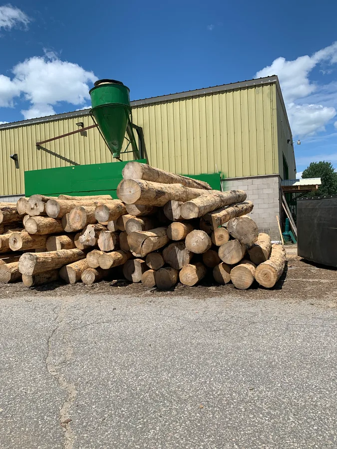 Stacked logs beside the mill building at Weston Forest
