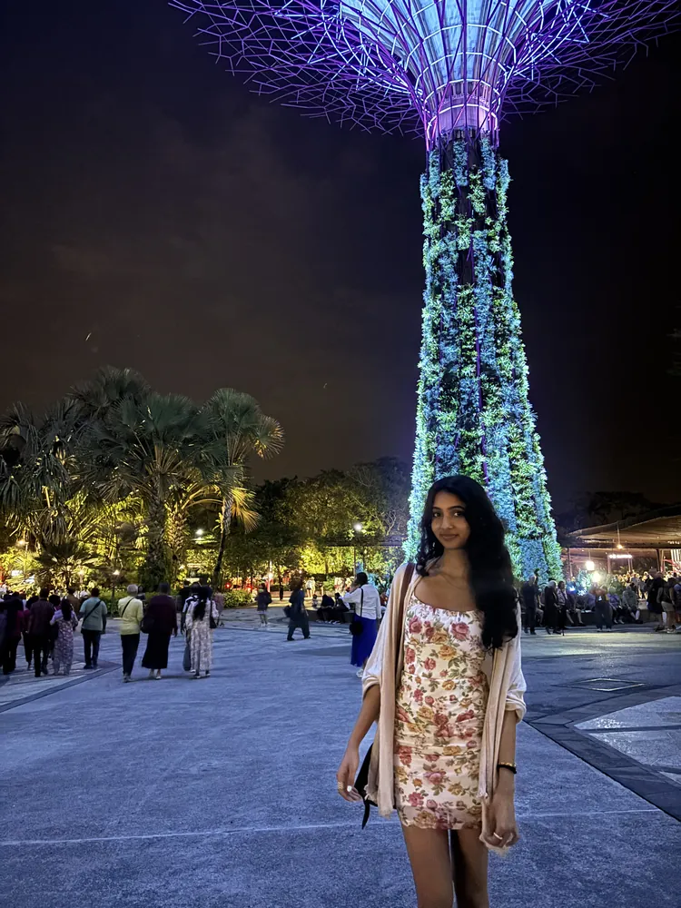 The Supertree Grove at Gardens by the Bay, Singapore